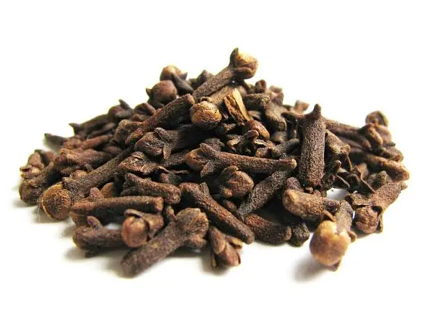 Karanfil